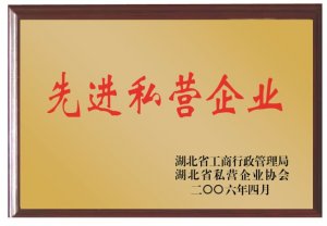 先進(jìn)私營(yíng)企業(yè)