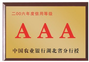 中國(guó)農(nóng)業(yè)銀行湖北省分行2006年度信用等級(jí)AAA